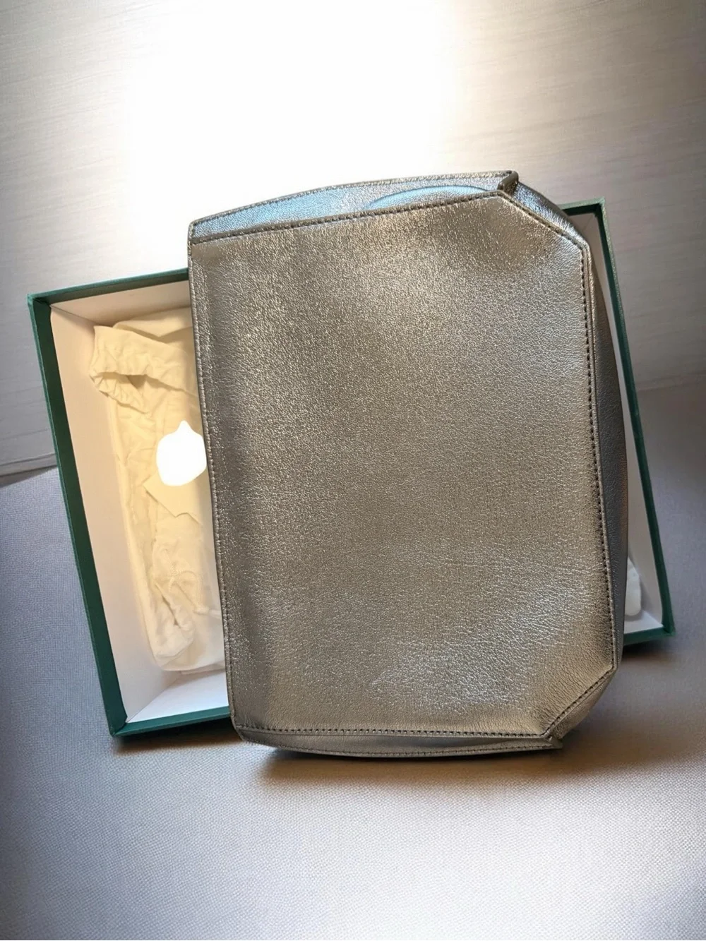 Buscemi “Pouch Woman” in Silver Leather